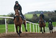 19 February 2019; Battleoverdoyen, with Jack Kennedy up, during a Gordon Elliott yard visit at Gordon Elliott Racing in Longwood, Co Meath. Photo by Harry Murphy/Sportsfile