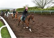 20 February 2019; Un De Sceaux, with Virginie Bascop up, during a visit to Willie Mullins' yard at Willie Mullins Racing in Bagenalstown, Carlow. Photo by Matt Browne/Sportsfile