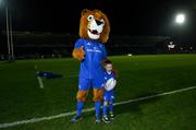 22 February 2019; Matchday mascot 8 year old Sam Nolan, from Tinahely, Co. Wicklow, at the Guinness PRO14 Round 16 match between Leinster and Southern Kings at the RDS Arena in Dublin. Photo by Ramsey Cardy/Sportsfile