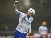 24 February 2019; Shane Bennett of Waterford celebrates after scoring his side's third goal during the Allianz Hurling League Division 1B Round 4 match between Dublin and Waterford at Parnell Park in Donnycarney, Dublin. Photo by Daire Brennan/Sportsfile