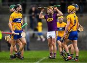 24 February 2019; Jack Browne, left, of Clare celebrates at the final whistle during the Allianz Hurling League Division 1A Round 4 match between Clare and Wexford at Cusack Park in Ennis, Clare. Photo by Eóin Noonan/Sportsfile