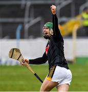 24 February 2019; Kilkenny goalkeeper Eoin Murphy celebrates scoring a last minute free, to win the game, during the Allianz Hurling League Division 1A Round 4 match between Tipperary and Kilkenny at Semple Stadium in Thurles, Co Tipperary. Photo by Ray McManus/Sportsfile