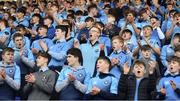 25 February 2019; St Michael's College supporters prior to the Bank of Ireland Leinster Schools Senior Cup Round 2 match between Blackrock College and St Michael’s College at Energia Park in Donnybrook, Dublin. Photo by David Fitzgerald/Sportsfile