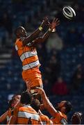 1 March 2019; Abongile Nonkontwana of Toyota Cheetahs during the Guinness PRO14 Round 17 match between Leinster and Toyota Cheetahs at the RDS Arena in Dublin. Photo by Ramsey Cardy/Sportsfile