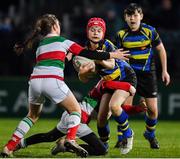 1 March 2019; Action from the half-time minis match between Bective Rangers RFC and and Midlands Warriors RFC during the Guinness PRO14 Round 17 match between Leinster and Toyota Cheetahs at the RDS Arena in Dublin. Photo by Brendan Moran/Sportsfile