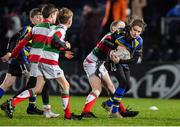 1 March 2019; Action from the half-time minis match between Bective Rangers RFC and and Midlands Warriors RFC during the Guinness PRO14 Round 17 match between Leinster and Toyota Cheetahs at the RDS Arena in Dublin. Photo by Brendan Moran/Sportsfile