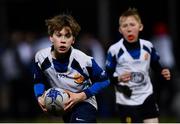 1 March 2019; Action from the half-time minis match between Arklow RFC and Edenderry RFC during the Guinness PRO14 Round 17 match between Leinster and Toyota Cheetahs at the RDS Arena in Dublin. Photo by Ramsey Cardy/Sportsfile