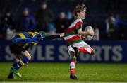 1 March 2019; Action from the half-time minis match between Bective Rangers RFC and and Midlands Warriors RFC during the Guinness PRO14 Round 17 match between Leinster and Toyota Cheetahs at the RDS Arena in Dublin. Photo by Brendan Moran/Sportsfile