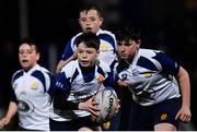 1 March 2019; Action from the half-time minis match between Arklow RFC and Edenderry RFC during the Guinness PRO14 Round 17 match between Leinster and Toyota Cheetahs at the RDS Arena in Dublin. Photo by Ramsey Cardy/Sportsfile