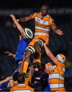 1 March 2019; Abongile Nonkontwana of Toyota Cheetahs during the Guinness PRO14 Round 17 match between Leinster and Toyota Cheetahs at the RDS Arena in Dublin. Photo by Brendan Moran/Sportsfile
