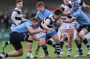 6 March 2019; Andrew Synnott of Belvedere College is tackled by St Michael's College players, from left, Fionn Finlay, John Fish and Jack Guinane during the Bank of Ireland Schools Senior Cup semi-final match between Belvedere College and St Michael's College at Energia Park in Donnybrook, Dublin. Photo by Piaras Ó Mídheach/Sportsfile