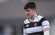 6 March 2019; Hugh Flood of Belvedere College during the Bank of Ireland Leinster Schools Senior Cup semi-final match between Belvedere College and St Michael's College at Energia Park in Donnybrook, Dublin. Photo by Piaras Ó Mídheach/Sportsfile