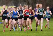 9 March 2019; Sarah Healy of Holy Child Killiney, Dublin, number 378, on her way to winning the Senior Girls event during the Irish Life Health All Ireland Schools Cross Country at Clongowes Wood College in Clane, Co Kildare. Photo by Piaras Ó Mídheach/Sportsfile