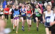 9 March 2019; Athletes in Minors Girls event, from left, Hollie Kilroe of Mercy Roscommon, Zoie Ritchie of Teresians, Dublin, Isabella Tomkin Beddy of Holy Child Killiney, Dublin, and Nicole Dinan of St Angela's Cork, in the Irish Life Health All Ireland Schools Cross Country at Clongowes Wood College in Clane, Co Kildare. Photo by Piaras Ó Mídheach/Sportsfile