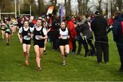 9 March 2019; Action from the Minor Girls event during the Irish Life Health All Ireland Schools Cross Country at Clongowes Wood College in Clane, Co Kildare. Photo by Piaras Ó Mídheach/Sportsfile