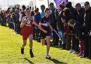 9 March 2019; Darragh O'Brien of Midleton CBS, Co Cork, left, and Ned Williams and Clongowes Wood College, Co Kildare, in the Minor Boys event during the Irish Life Health All Ireland Schools Cross Country at Clongowes Wood College in Clane, Co Kildare. Photo by Piaras Ó Mídheach/Sportsfile