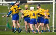 10 March 2019; Roscommon players, from left, Alan Moore, Cathal Dolan, Padraig Kelly, Paul Kenny and Conor Mulry celebrate following the Allianz Hurling League Division 3A Final match between Roscommon and Armagh at Páirc Tailteann in Navan, Meath. Photo by Tom Beary/Sportsfile