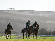 11 March 2019; Noel Meade's string on the gallops ahead of the Cheltenham Racing Festival at Prestbury Park in Cheltenham, England. Photo by Seb Daly/Sportsfile