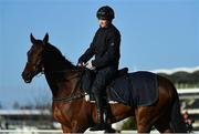 11 March 2019; Jockey Rachael Blackmore and A Plus Tard on the gallops ahead of the Cheltenham Racing Festival at Prestbury Park in Cheltenham, England. Photo by Seb Daly/Sportsfile