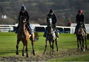 11 March 2019; Tiger Roll, left, with Lisa O'Neill up, on the gallops ahead of the Cheltenham Racing Festival at Prestbury Park in Cheltenham, England. Photo by Seb Daly/Sportsfile
