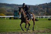 11 March 2019; Apple's Jade, with Keith Donoghue up, on the gallops ahead of the Cheltenham Racing Festival at Prestbury Park in Cheltenham, England. Photo by Seb Daly/Sportsfile