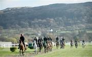 11 March 2019; Willie Mullins' string of horses on the gallops ahead of the Cheltenham Racing Festival at Prestbury Park in Cheltenham, England. Photo by David Fitzgerald/Sportsfile