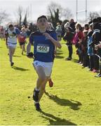 9 March 2019; Brian Byrne of Cashel CS, Co Tipperary, in the Minor Boys event during the Irish Life Health All Ireland Schools Cross Country at Clongowes Wood College in Clane, Co Kildare. Photo by Piaras Ó Mídheach/Sportsfile