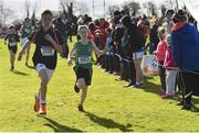 9 March 2019; Harry Golding of Wesley College, Dublin, left, and Joer Kelly St Malachy's, Belfast, Co Antrim, in the Minor Boys event during the Irish Life Health All Ireland Schools Cross Country at Clongowes Wood College in Clane, Co Kildare. Photo by Piaras Ó Mídheach/Sportsfile