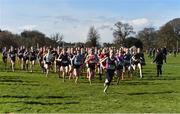 9 March 2019; Action from the Junior Girls event during the Irish Life Health All Ireland Schools Cross Country at Clongowes Wood College in Clane, Co. Kildare. Photo by Piaras Ó Mídheach/Sportsfile