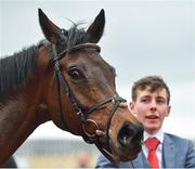 13 March 2019; City Island after winning the Ballymore Novices' Hurdle on Day Two of the Cheltenham Racing Festival at Prestbury Park in Cheltenham, England. Photo by Seb Daly/Sportsfile