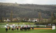 13 March 2019; Runners and riders during the RSA Insurance Novices' Chase on Day Two of the Cheltenham Racing Festival at Prestbury Park in Cheltenham, England. Photo by David Fitzgerald/Sportsfile