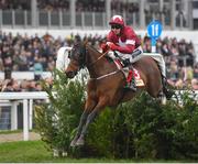 13 March 2019; Tiger Roll, with Keith Donoghue up, jumps the last on their way to winning the Glenfarclas Cross Country Chase on Day Two of the Cheltenham Racing Festival at Prestbury Park in Cheltenham, England. Photo by Seb Daly/Sportsfile