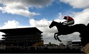 14 March 2019; Castafiore, with Paul O'Brien up, jumps the last during the JLT Novices' Chase on Day Three of the Cheltenham Racing Festival at Prestbury Park in Cheltenham, England. Photo by David Fitzgerald/Sportsfile