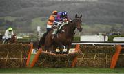 14 March 2019; Paisley Park, with Aidan Coleman up, jumps the last on their way to winning the Sun Racing Stayers' Hurdle on Day Three of the Cheltenham Racing Festival at Prestbury Park in Cheltenham, England. Photo by David Fitzgerald/Sportsfile