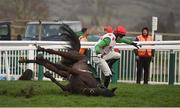 14 March 2019; Drumconnor Lad, with Johnny Barry up, falls at the last during the Fulke Walwyn Kim Muir Challenge Cup Amateur Riders' Handicap Chase on Day Three of the Cheltenham Racing Festival at Prestbury Park in Cheltenham, England. Photo by David Fitzgerald/Sportsfile