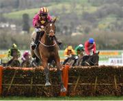 15 March 2019; Minella Indo, with Rachael Blackmore up, jumps the last on their way to winning the Albert Bartlett Novices' Hurdle on Day Four of the Cheltenham Racing Festival at Prestbury Park in Cheltenham, England. Photo by Seb Daly/Sportsfile