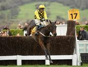 15 March 2019; Al Boum Photo, with Paul Townend up, jumps the last on their way to winning the Magners Cheltenham Gold Cup Chase on Day Four of the Cheltenham Racing Festival at Prestbury Park in Cheltenham, England. Photo by Seb Daly/Sportsfile