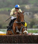 15 March 2019; Hazel Hill, with Alex Edwards up, jumps the last on their way to winning the St. James's Place Foxhunter Challenge Cup Open Hunters' Chase on Day Four of the Cheltenham Racing Festival at Prestbury Park in Cheltenham, England. Photo by Seb Daly/Sportsfile