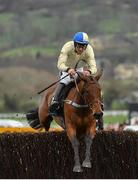 15 March 2019; Hazel Hill, with Alex Edwards up, jumps the last on their way to winning the St. James's Place Foxhunter Challenge Cup Open Hunters' Chase on Day Four of the Cheltenham Racing Festival at Prestbury Park in Cheltenham, England. Photo by Seb Daly/Sportsfile