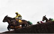 15 March 2019; Al Boum Photo, with Paul Townend up, jumps the last during the first circuit on their way to winning the Magners Cheltenham Gold Cup Chase on Day Four of the Cheltenham Racing Festival at Prestbury Park in Cheltenham, England. Photo by Seb Daly/Sportsfile