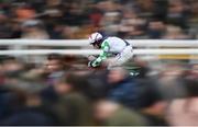 15 March 2019; Top Gamble, with Mark Enright up, during the Johnny Henderson Grand Annual Challenge Cup Handicap Chase on Day Four of the Cheltenham Racing Festival at Prestbury Park in Cheltenham, England. Photo by David Fitzgerald/Sportsfile