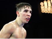 17 March 2019; Michael Conlan during his featherweight bout against Ruben Garcia Hernandez at the Madison Square Garden Theater in New York, USA. Photo by Mikey Williams/Top Rank/Sportsfile