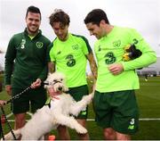18 March 2019; Republic of Ireland players, from left, Kevin Long, Jeff Hendrick and Robbie Brady meet Bella, from My Canine Companion, during a Republic of Ireland training session at the FAI National Training Centre in Abbotstown, Dublin. Photo by Stephen McCarthy/Sportsfile
