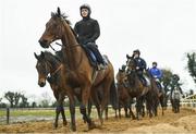 19 March 2019; Gordon Elliott's string of horses including Outlander, left, on the gallops at the launch of the 2019 Boylesports Irish Grand National at Gordon Elliott's yard in Longwood, Co. Meath. Photo by Ramsey Cardy/Sportsfile