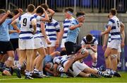 20 March 2019; Michael Sadlier of St Michael's College celebrates a late second half try scored by team-mate Sean Egan during the Bank of Ireland Leinster Schools Junior Cup Final match between Blackrock College and St Michael’s College at Energia Park in Donnybrook, Dublin. Photo by Piaras Ó Mídheach/Sportsfile