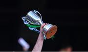 17 March 2019; Ballyhale Shamrocks captain Michael Fennelly lifts The Tommy Moore Cup after the AIB GAA Hurling All-Ireland Senior Club Championship Final match between Ballyhale Shamrocks and St Thomas' at Croke Park in Dublin. Photo by Piaras Ó Mídheach/Sportsfile