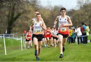 23 March 2019; Lewis Sullivan of Sybil Andrews Academy, Suffolk, England, left, and Christopher Perkins of Park View School, Church Chare, Durham, England, competing in the Junior Boys event during the SIAB Schools Cross Country International at Santry Demense in Santry, Dublin. Photo by Sam Barnes/Sportsfile
