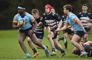 23 March 2019; Richie Akpan Ulster College Dublin in action during the Maughan-Scally Cup final between Ulster University Coleraine and University College Dublin at the University of Ulster in Coleraine, Derry. The annual Maughan Scally Cup is organized by the Irish Universities’ Rugby Union, which is sponsored by Maxol. Being played for the first time at Ulster University’s Coleraine campus this weekend, the event celebrates participation in student rugby. Photo by Oliver McVeigh/Sportsfile