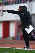23 March 2019; Republic of Ireland assistant coach Terry Connor during the UEFA EURO2020 Qualifier Group D match between Gibraltar and Republic of Ireland at Victoria Stadium in Gibraltar. Photo by Seb Daly/Sportsfile