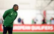 23 March 2019; Republic of Ireland assistant coach Terry Connor prior to the UEFA EURO2020 Qualifier Group D match between Gibraltar and Republic of Ireland at Victoria Stadium in Gibraltar. Photo by Stephen McCarthy/Sportsfile